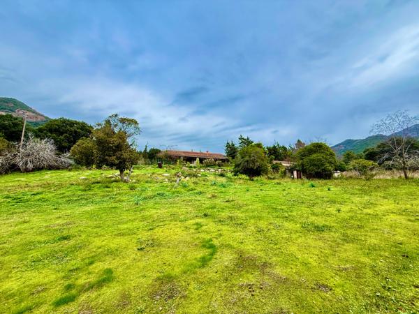 SAGONE (Corse) : Propriete à vendre, maison T4 + dépendance avec 2 appartements T1, sur terrain plat de 5000m2