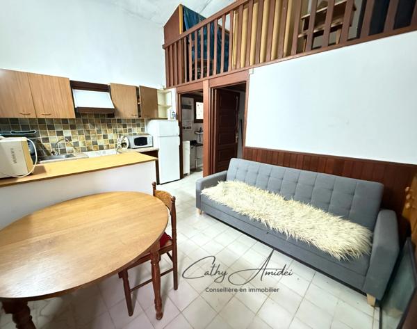 SAGONE (Corse) : Propriete à vendre, maison T4 + dépendance avec 2 appartements T1, sur terrain plat de 5000m2