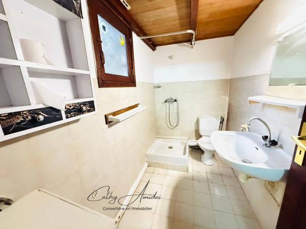 SAGONE (Corse) : Propriete à vendre, maison T4 + dépendance avec 2 appartements T1, sur terrain plat de 5000m2