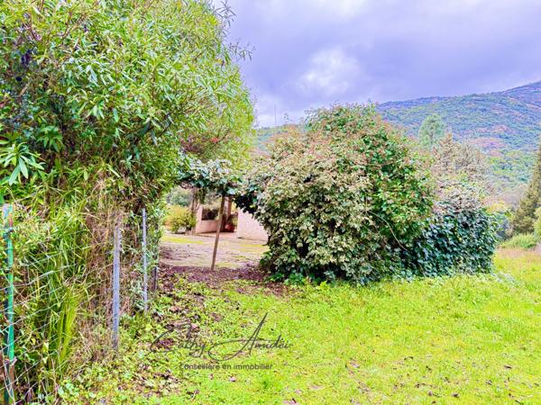 SAGONE (Corse) : Propriete à vendre, maison T4 + dépendance avec 2 appartements T1, sur terrain plat de 5000m2