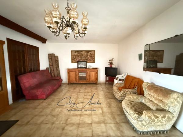 SAGONE (Corse) : Propriete à vendre, maison T4 + dépendance avec 2 appartements T1, sur terrain plat de 5000m2