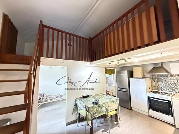 SAGONE (Corse) : Propriete à vendre, maison T4 + dépendance avec 2 appartements T1, sur terrain plat de 5000m2