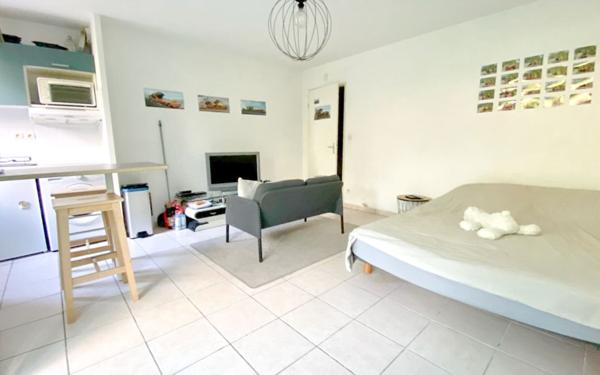 Appartement à louer    1 pièce • 26,95 m2 Castelginest
