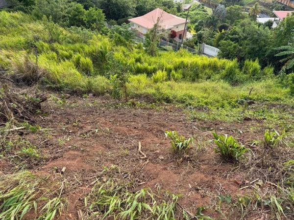 Terrain à vendre de 450,00 m² LA TRINITE (972)