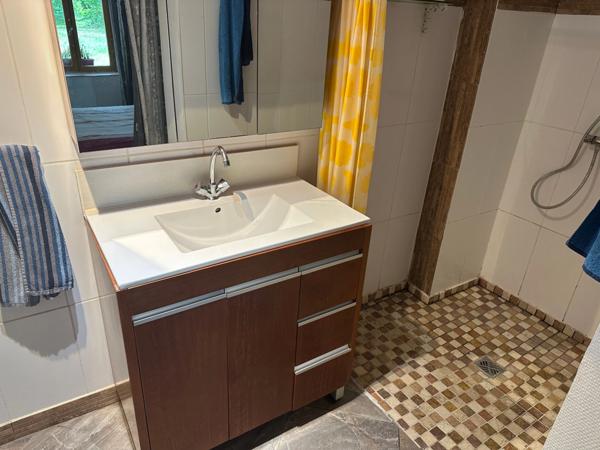 Authentique maison Landaise entierement rénovée avec petite dépendance, ruisseau et mare sur environ 2 Ha