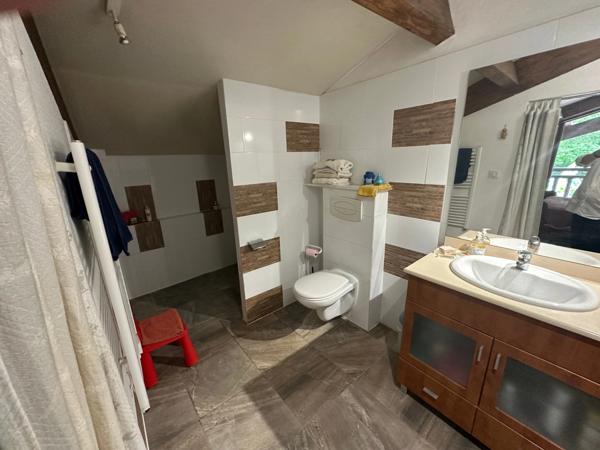 Authentique maison Landaise entierement rénovée avec petite dépendance, ruisseau et mare sur environ 2 Ha