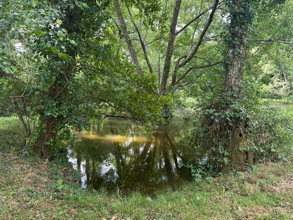 Authentique maison Landaise entierement rénovée avec petite dépendance, ruisseau et mare sur environ 2 Ha