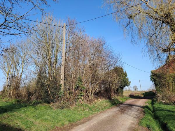 Maison à SAINT SAUVEUR VILLAGES, 50490 - 2 pièces 175m²