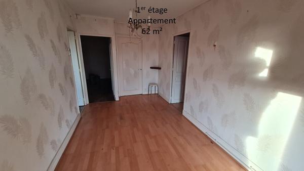 Maison 119m² hab, 2 appart (57 et 62 m²) + dép / 1290m² de terrain