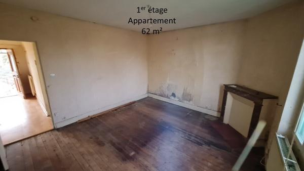 Maison 119m² hab, 2 appart (57 et 62 m²) + dép / 1290m² de terrain