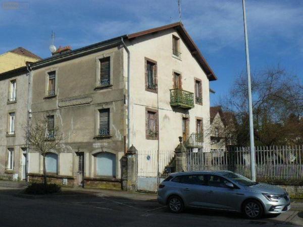 Local mixte (Pro/Hab) à vendre à Rambervillers dans les Vosges (88700), ref : 2267-1