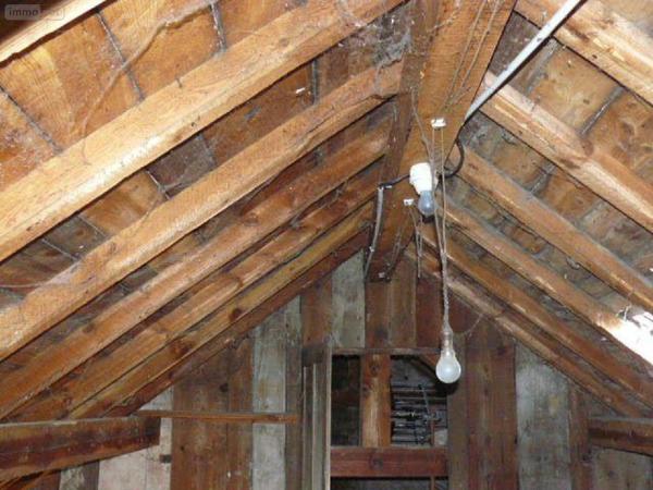 Local mixte (Pro/Hab) à vendre à Rambervillers dans les Vosges (88700), ref : 2267-1