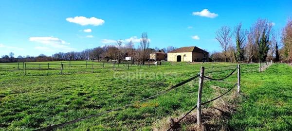 Propriété agricole à vendre 6 pièces, avec grange & ancien séchoir à tabac, sur terrain de 19 ha, à FLEURANCE (32)