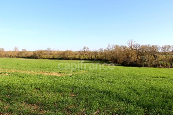 Propriété agricole à vendre 6 pièces, avec grange & ancien séchoir à tabac, sur terrain de 19 ha, à FLEURANCE (32)