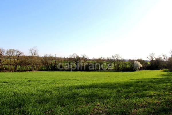 Propriété agricole à vendre 6 pièces, avec grange & ancien séchoir à tabac, sur terrain de 19 ha, à FLEURANCE (32)