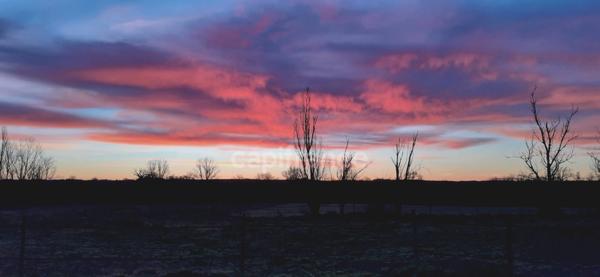 Propriété agricole à vendre 6 pièces, avec grange & ancien séchoir à tabac, sur terrain de 19 ha, à FLEURANCE (32)