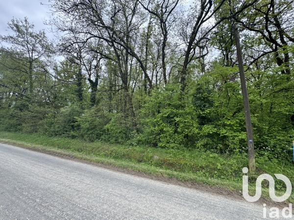 Terrain à vendre 3 362 m² Saint-Martin-la-Pallu