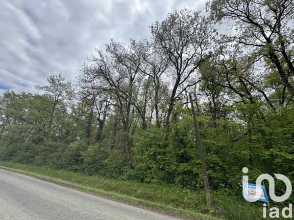 Terrain à vendre 3 362 m² Saint-Martin-la-Pallu