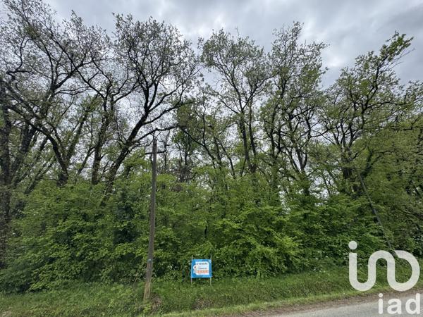 Terrain à vendre 3 362 m² Saint-Martin-la-Pallu