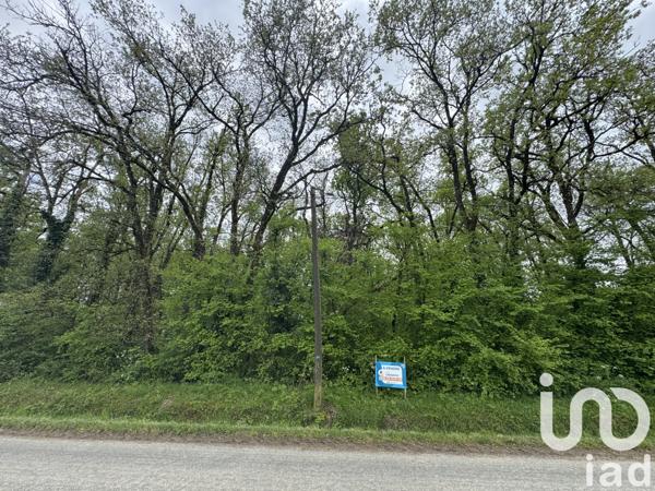 Terrain à vendre 3 362 m² Saint-Martin-la-Pallu