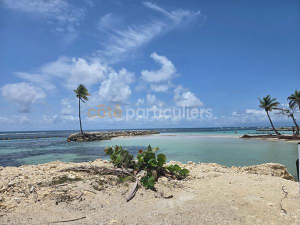 Vente
                Appartement40 m² - 2 Pièces -
                    SAINTE ANNE (97180)