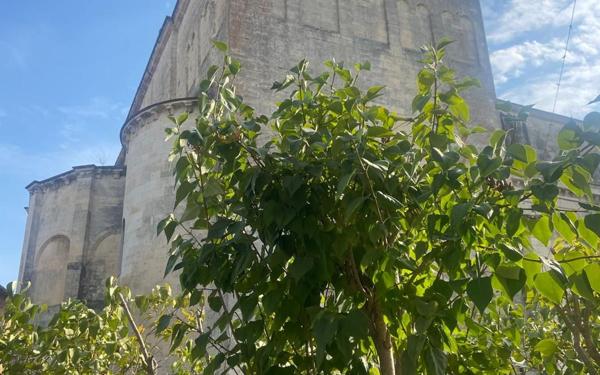 Maison à vendre    4 pièces •  Saint-Paul-Trois-Châteaux