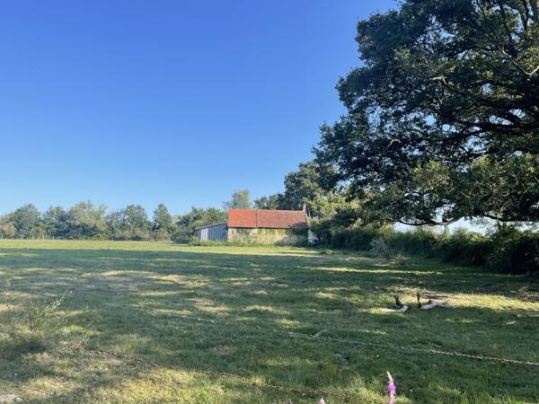 Vente Maison50 m² - 2 Pièces - ST PIERRE LES BOIS (18170)