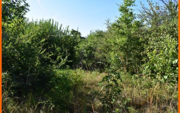 Vente Terrain Montluel