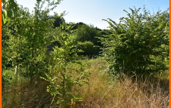 Vente Terrain Montluel