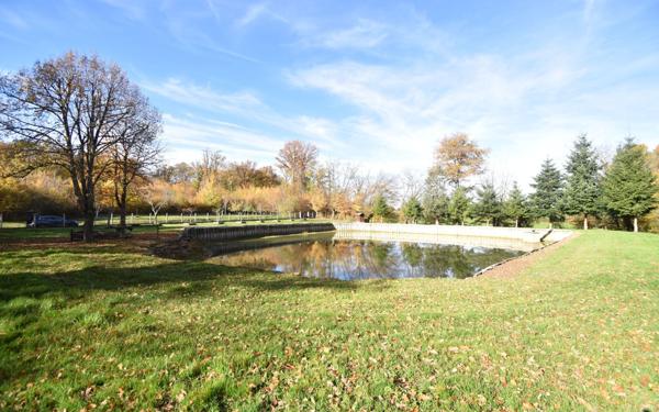 Terrain à vendre    Savigny-en-Sancerre