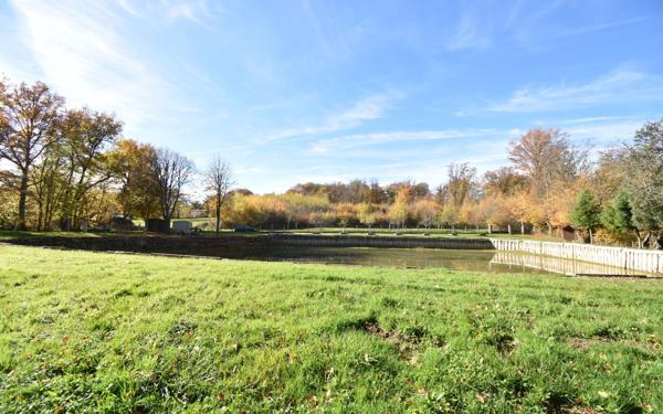 Terrain à vendre    Savigny-en-Sancerre