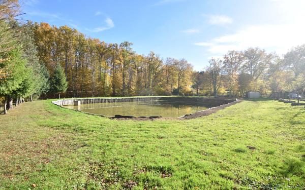 Terrain à vendre    Savigny-en-Sancerre