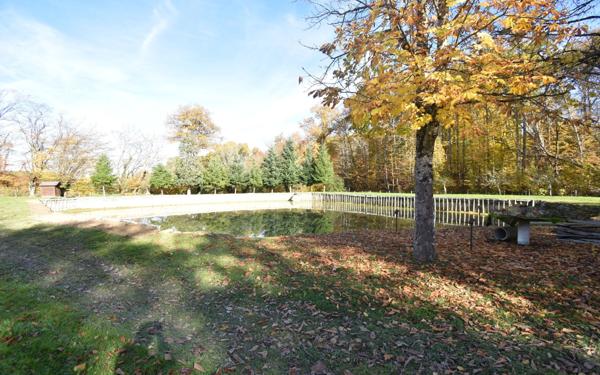 Terrain à vendre    Savigny-en-Sancerre
