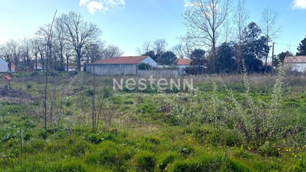 Terrain Boisé de 2500m² - Libre de Constructeur !