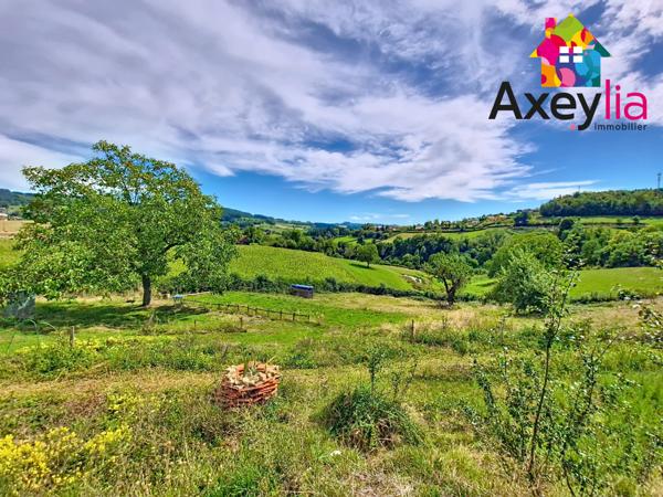 Sevelinges (42460) A VENDRE - PROCHE COURS - MAISON DE CAMPAGNE EN PIERRE AVEC 4 CHAMBRES, TERRAIN AVEC VUE DEGAGEE