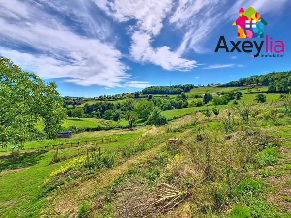 Sevelinges (42460) A VENDRE - PROCHE COURS - MAISON DE CAMPAGNE EN PIERRE AVEC 4 CHAMBRES, TERRAIN AVEC VUE DEGAGEE