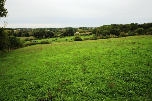 PONS : Anciens chais de 500 m² au sol + 6 ha de terres