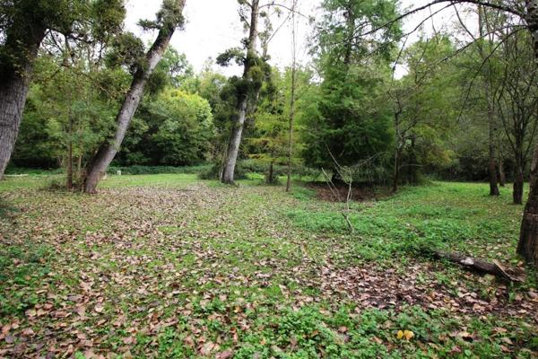 PONS : Anciens chais de 500 m² au sol + 6 ha de terres