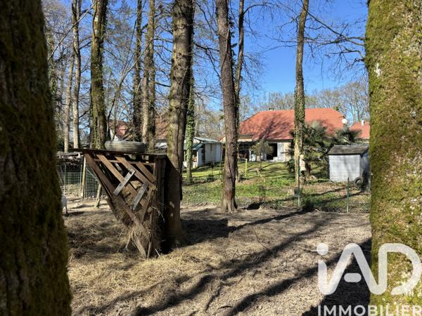 Maison à vendre 5 pièces 114 m² Lons