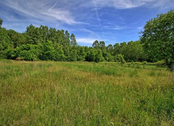 Terrain à vendre    Chevrières