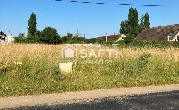 Terrain à bâtir 10696 m² en terre noire, belle opportunité