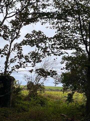 DOMAINE TOURISTIQUE,  hôtelier, chambres d'hôtes, camping, licence 4