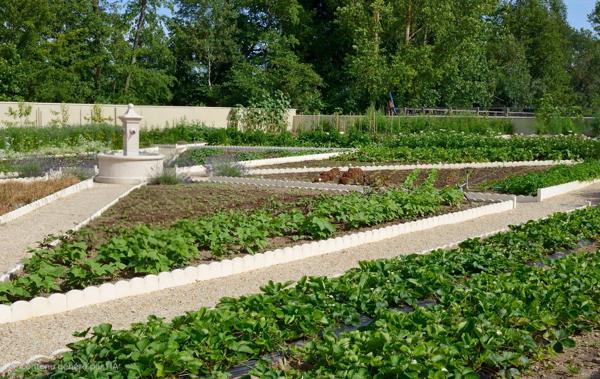 Vente Château Ribérac 40 Pièces 1380 m²