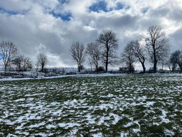 Laveissenet (15300) GRANGE AVEC TERRAIN – SECTEUR MURAT