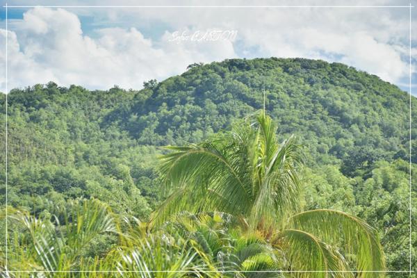 Les Trois-Îlets (972) Maison T4 -186 m² au sol avec grande terrasse, piscine et appartement T2 indépendant à vendre