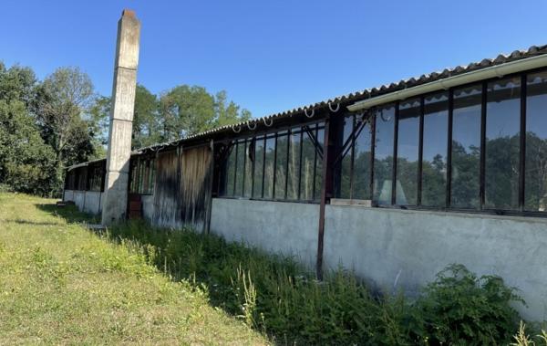 Vente Local commercial Entrepot Thiers