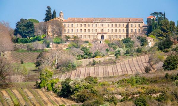 Vente Château Pézenas 30 Pièces 6200 m²
