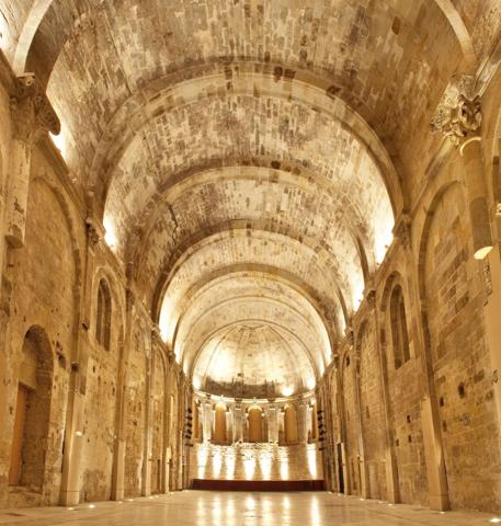 Vente Château Pézenas 30 Pièces 6200 m²