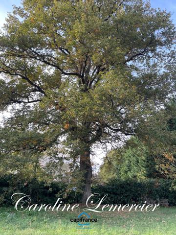 Maison à vendre 5 pièces proche de CONNERRE (72)La Chapelle saint remy, Maison sur sous-sol total 90 m² habitables avec un très beau terrain de 2500 m² paysagé