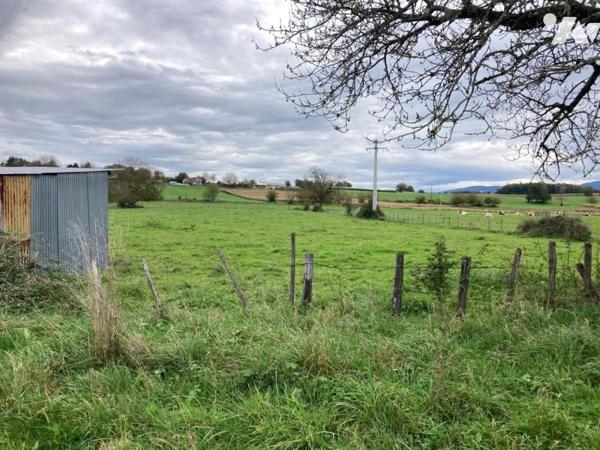 Maison à Neuville-sur-Ain
